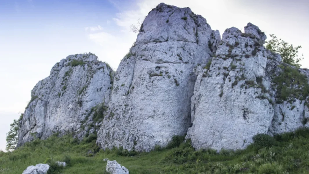 Rezerwat Przyrody Węże 2