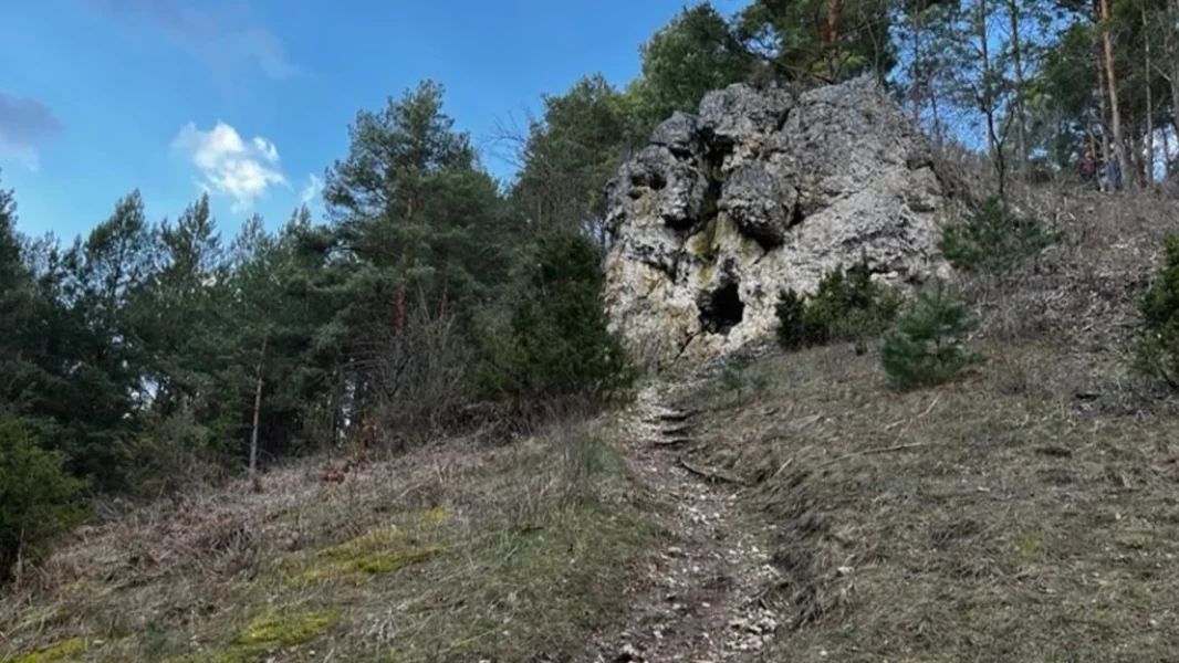góra św genowefy